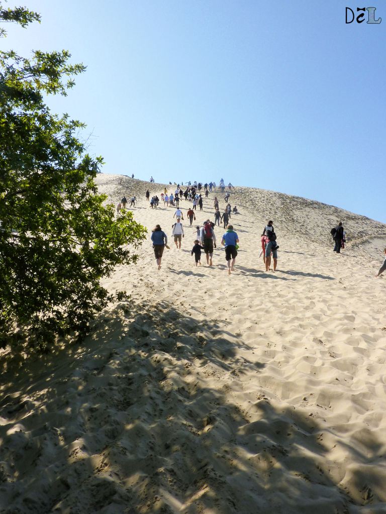Dune du Pilat 1